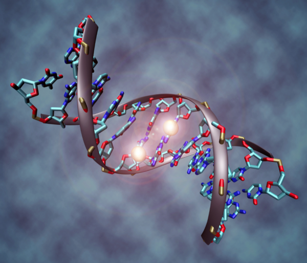 The Methylation Pathway Made Easier Emed